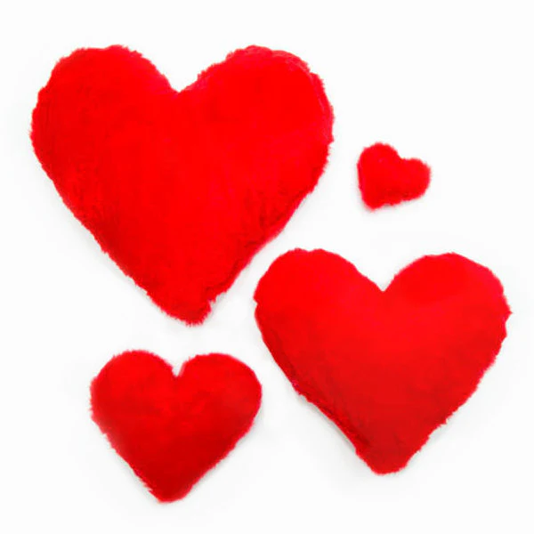 Lots of Love Heart Plush Squeaky Dog Toy - Image 5