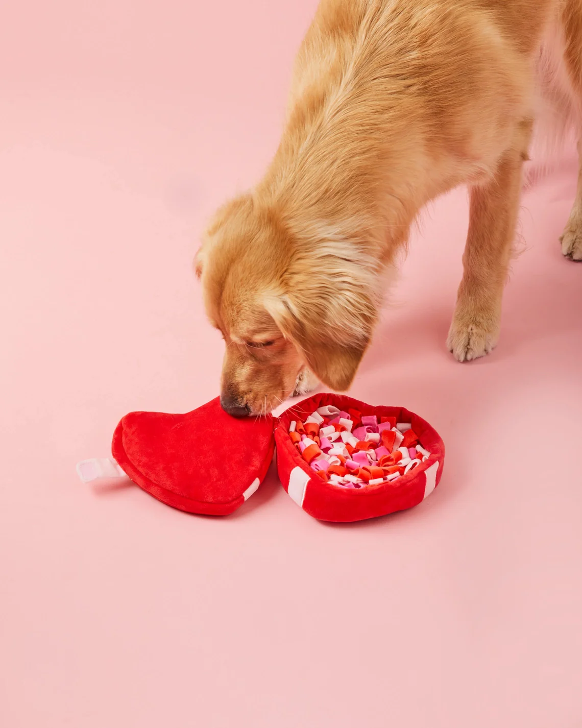 My Sweetest Heart Snuffle Dog Toy - Image 3