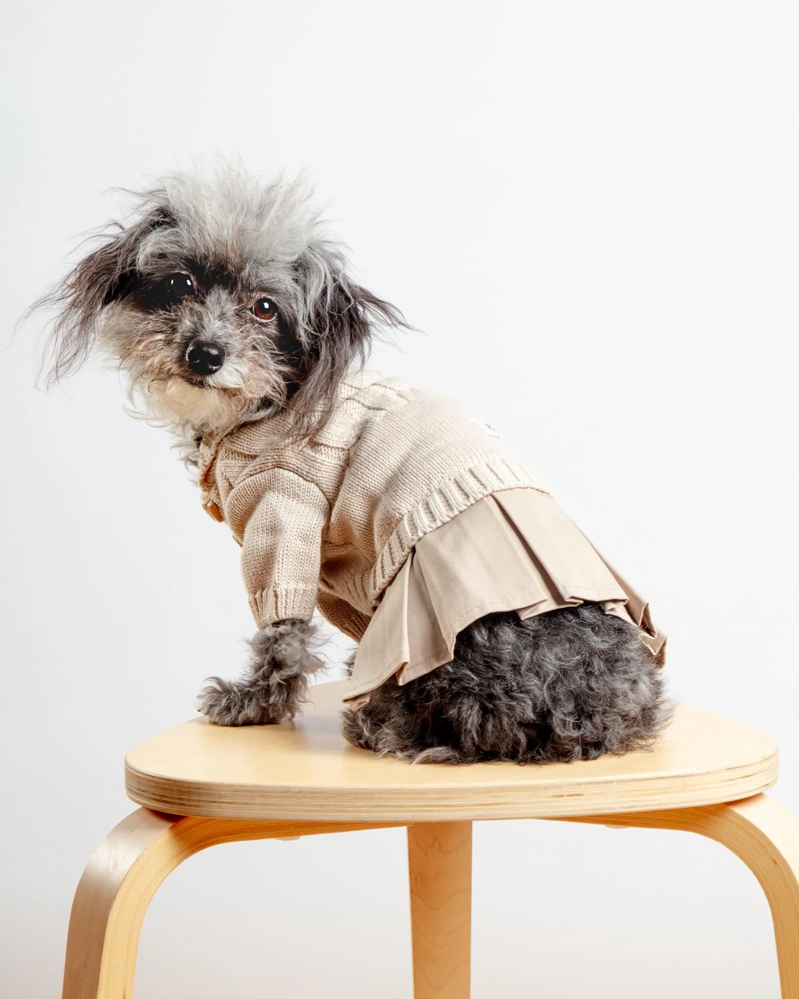 Naturalia Knit + Trench Dog Dress - Image 3