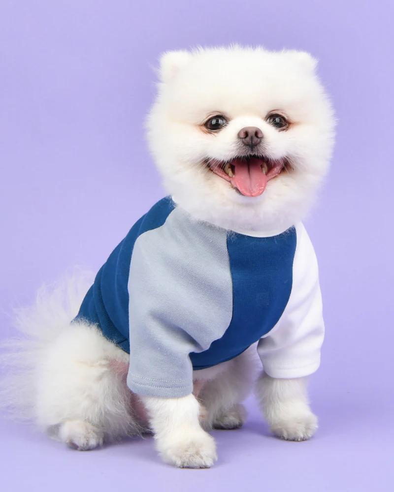 Color Block Dog T-Shirt in Navy (FINAL SALE)