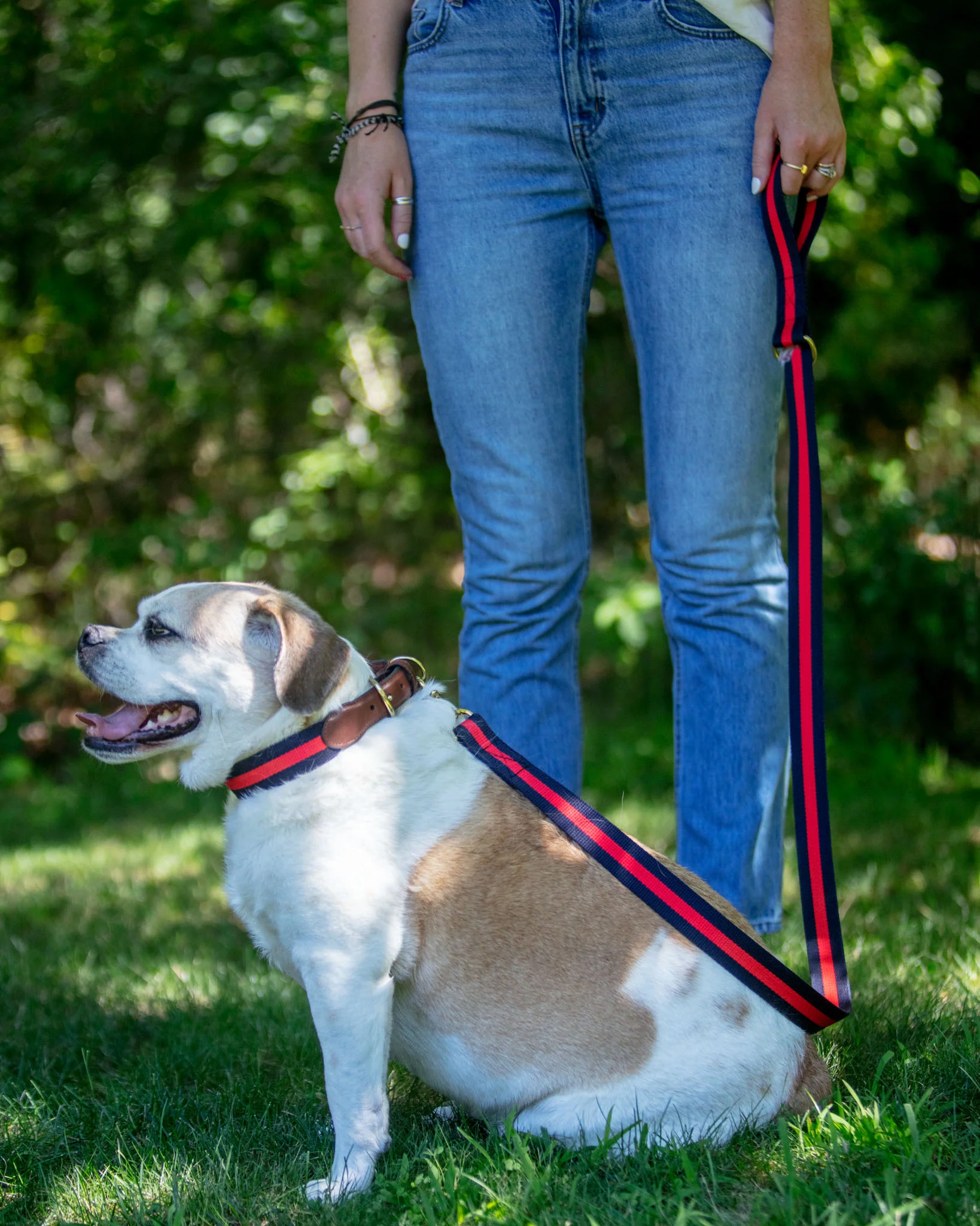 Navy & Red Stripe Dog Collar (Made in the USA) (FINAL SALE) - Image 3