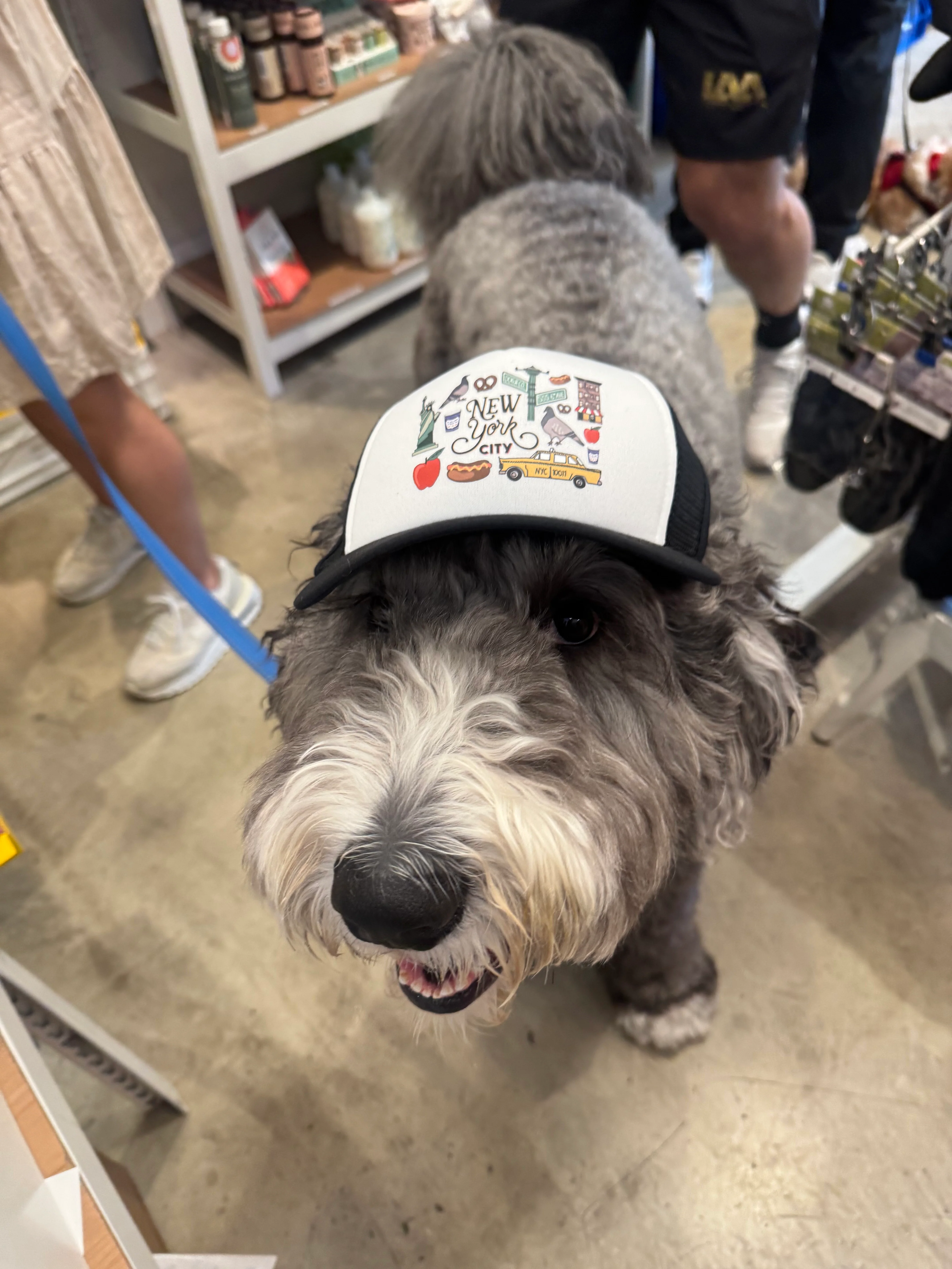 New York City Pet Trucker Hat (DOG & CO. EXCLUSIVE) - Image 3