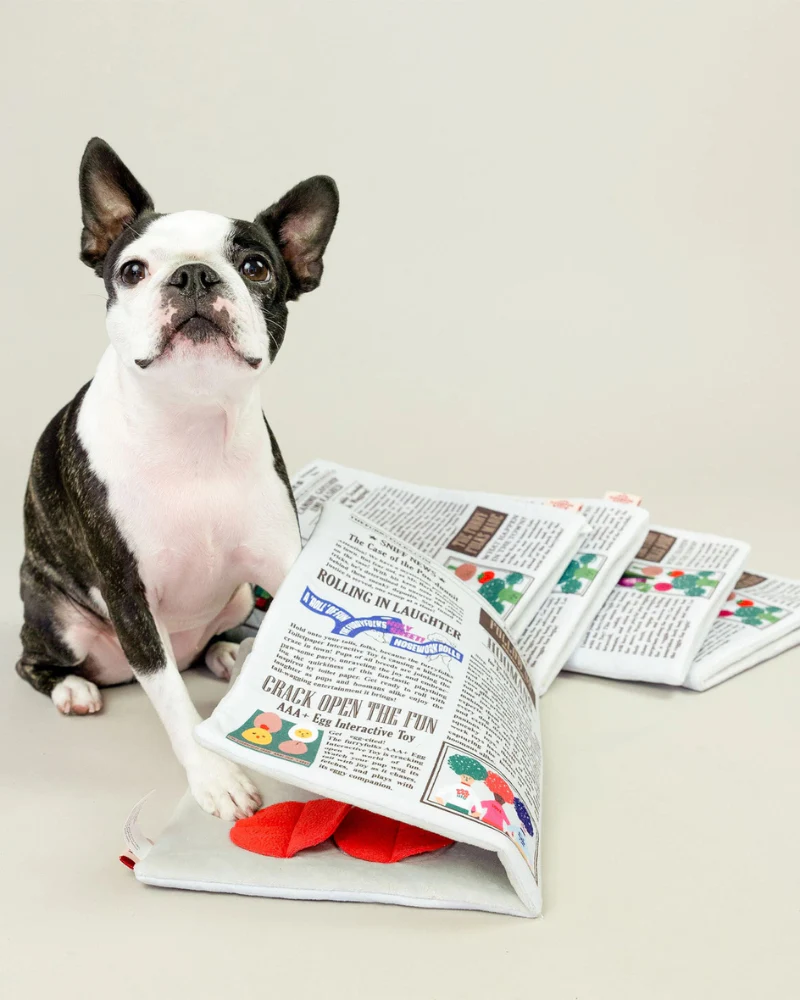 Newspaper Nosework Dog Toy - Image 13