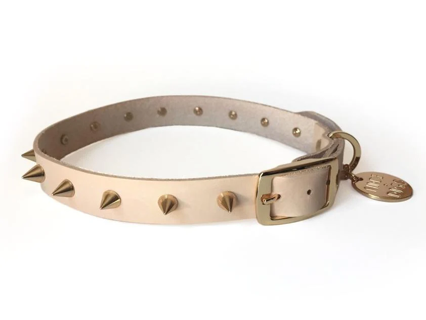 NICE DIGS | Gold Spike Leather Dog Collar