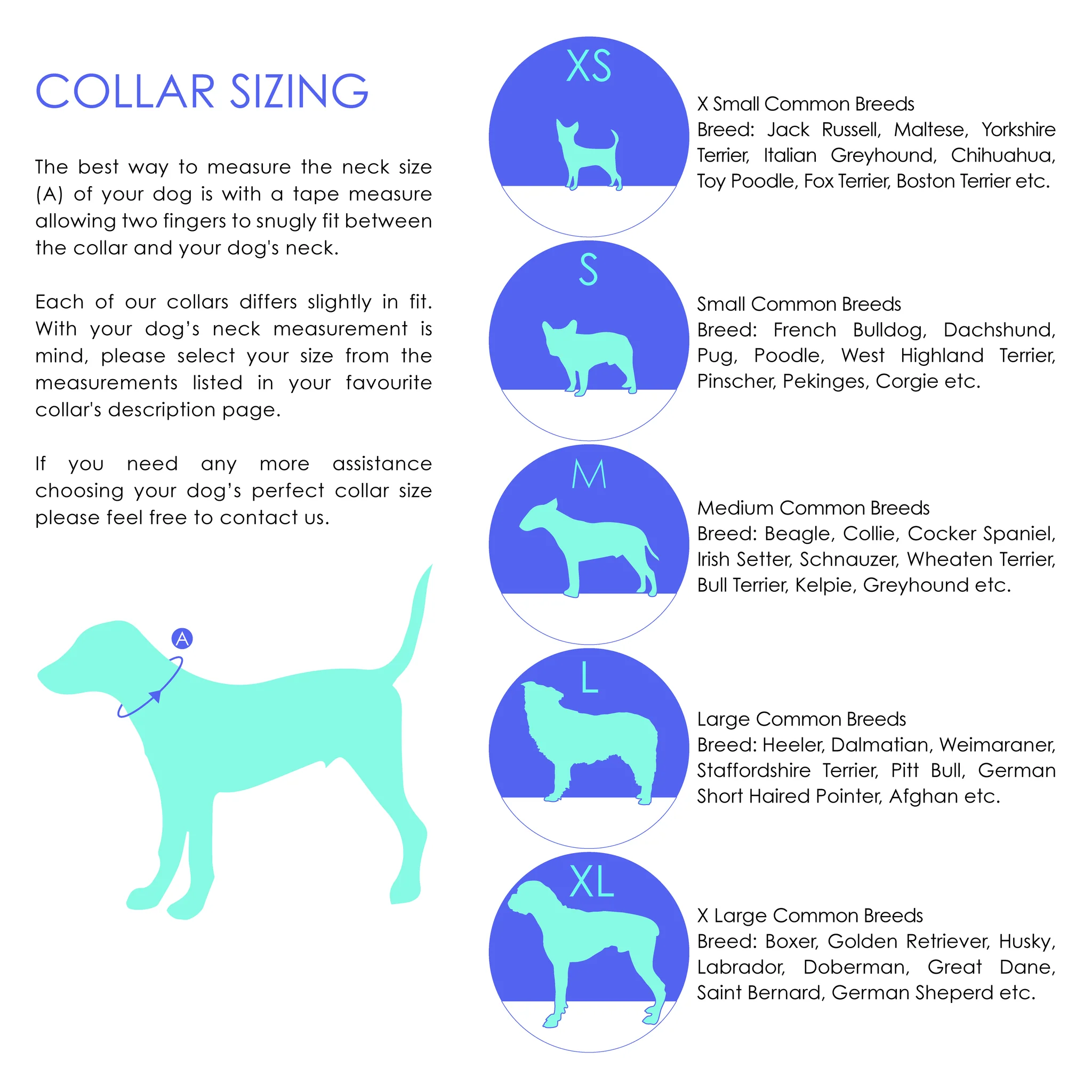 NICE DIGS | Velvet Dog Collar in Jade - Image 5