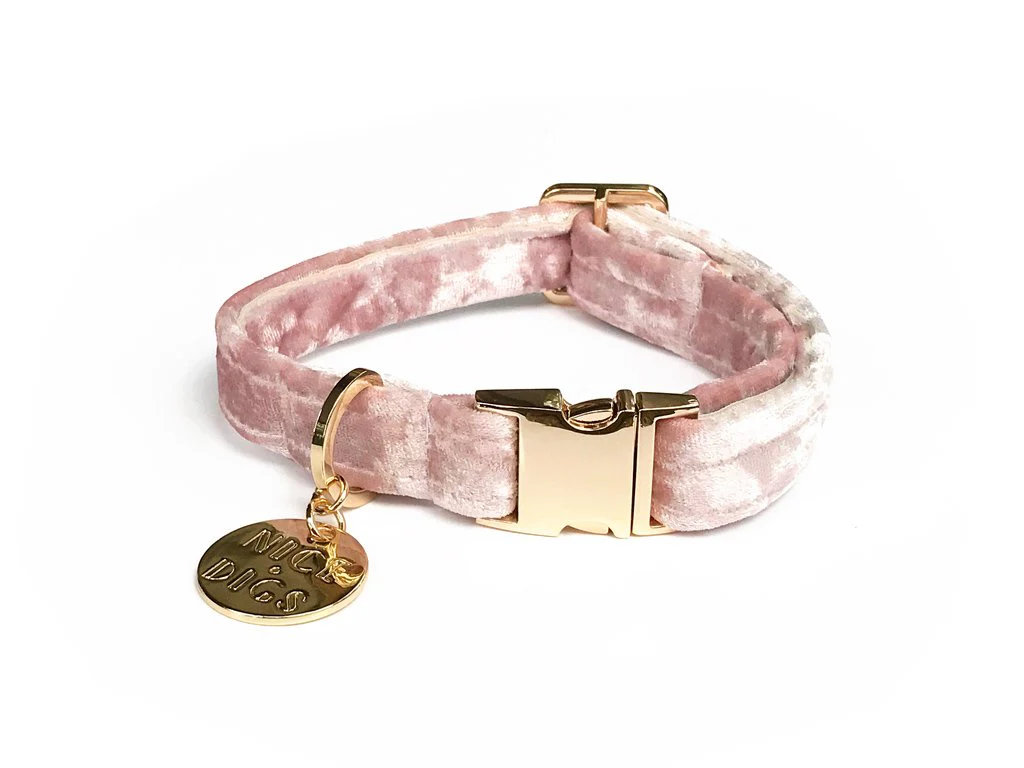 NICE DIGS | Velvet Dog Collar in Rose