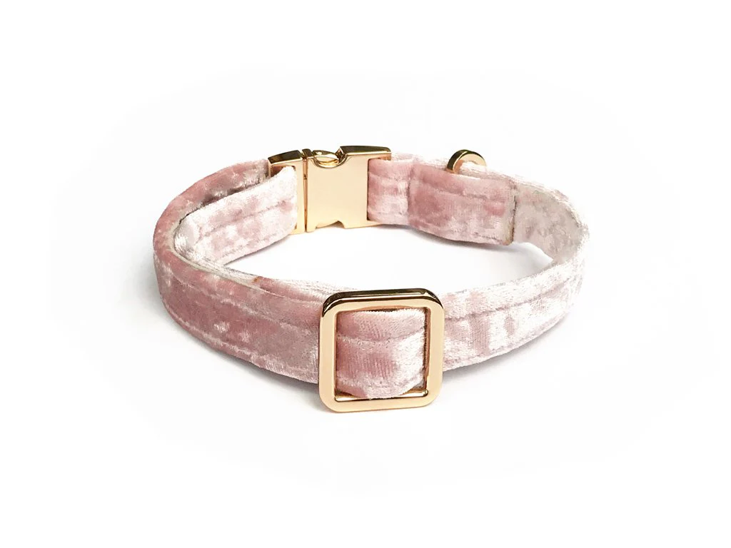 NICE DIGS | Velvet Dog Collar in Rose - Image 2