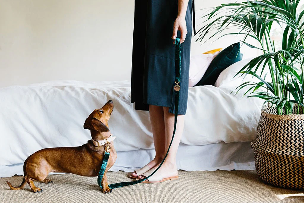 NICE DIGS | Velvet Dog Leash in Jade - Image 3