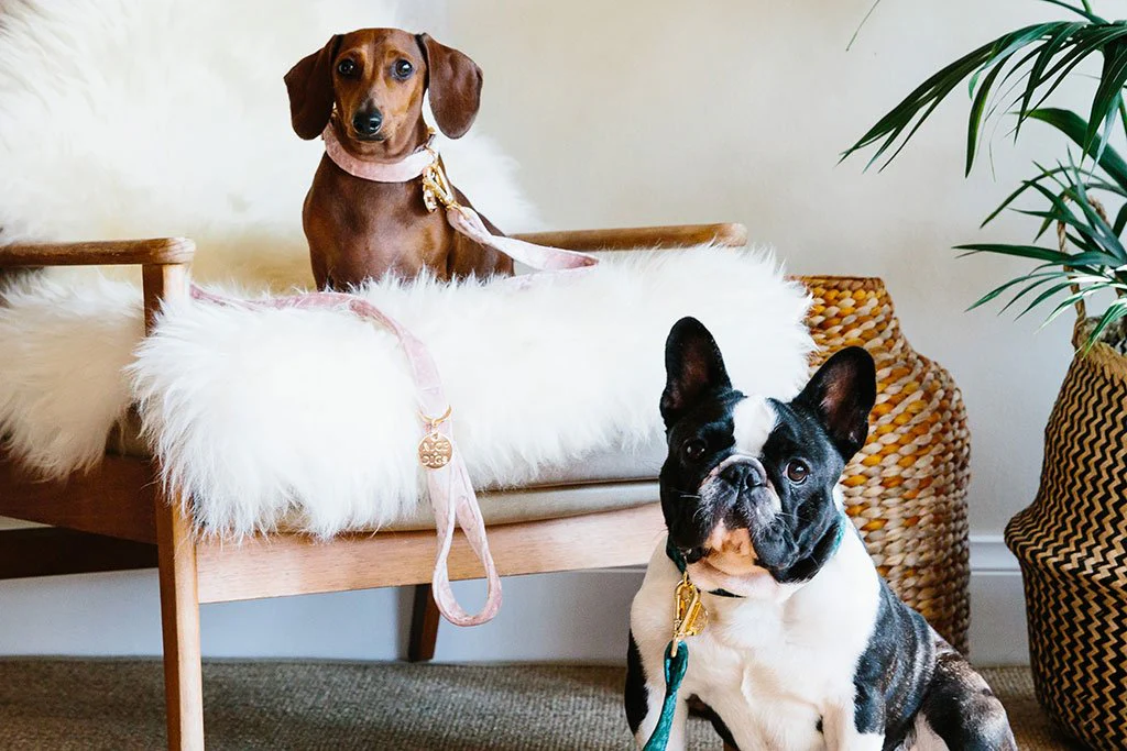 NICE DIGS | Velvet Dog Leash in Rose - Image 2