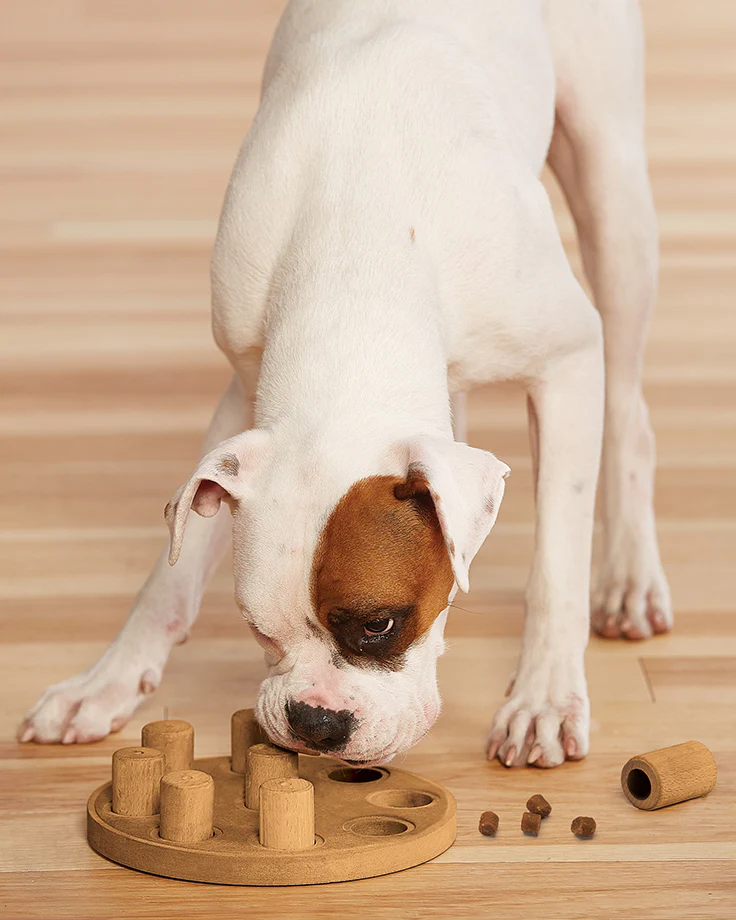 Dog Smart Treat Puzzle Game - Image 2