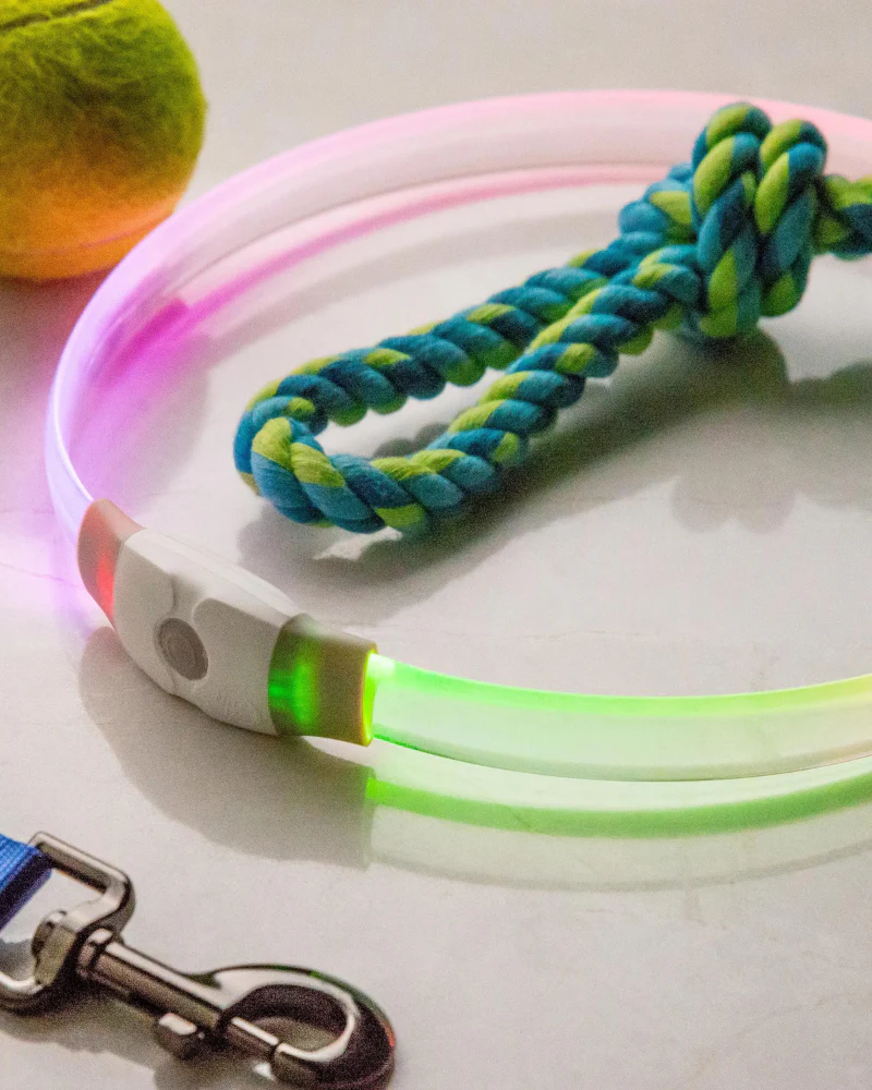 NITEHOWL® MAX Rechargeable Led Safety Dog Necklace - Image 2