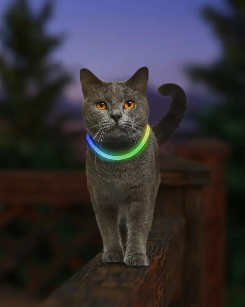 NITEMEOW® Rechargeable Led Safety Cat Necklace