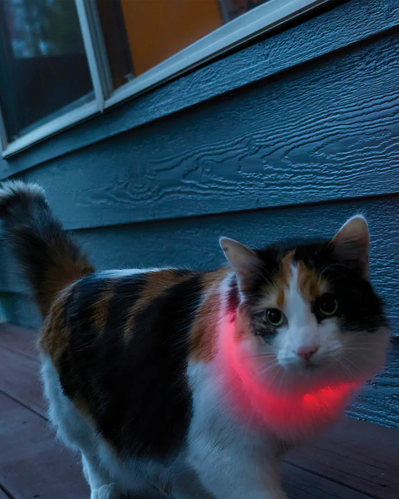 NITEMEOW® Rechargeable Led Safety Cat Necklace - Image 5