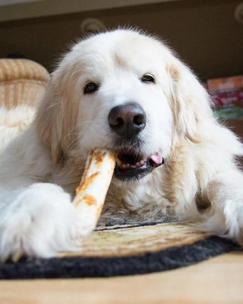 No-Hide Wholesome Dog Chew in Peanut Butter - Image 8