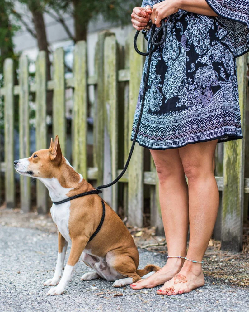 Non-Pull Escape Resistant Harness Lead (Made in the USA) - Image 3