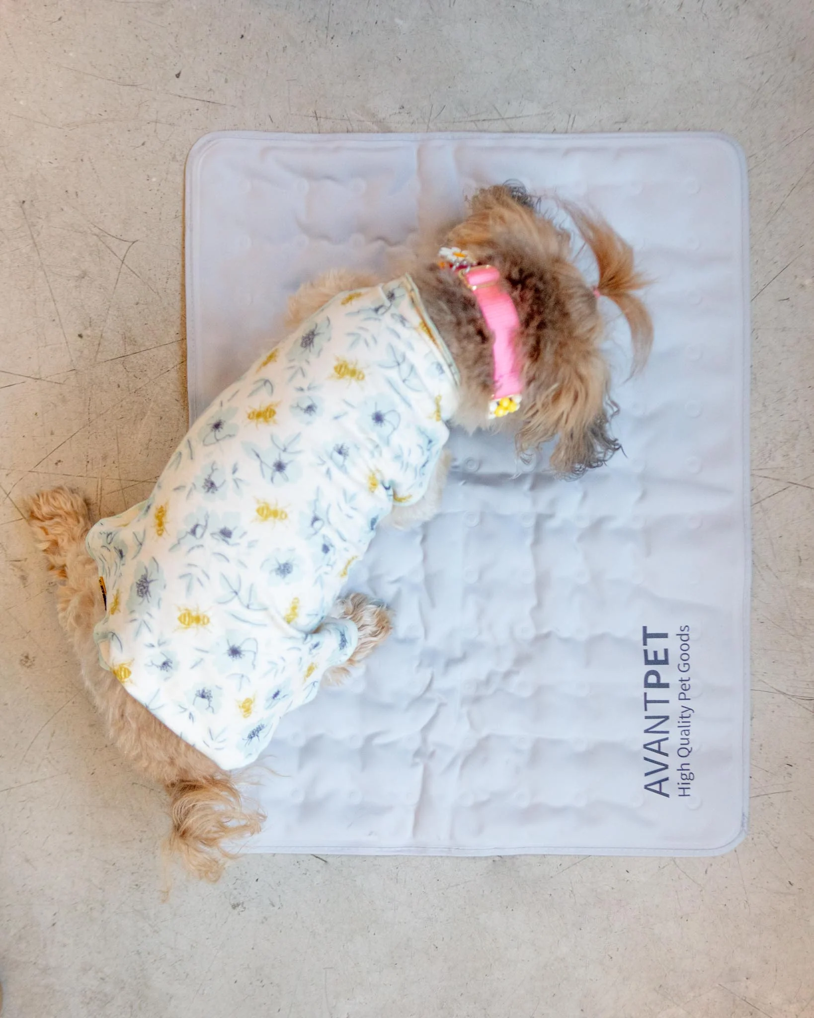 Non-Toxic Pet Cooling Mat (Made in Korea) - Image 2