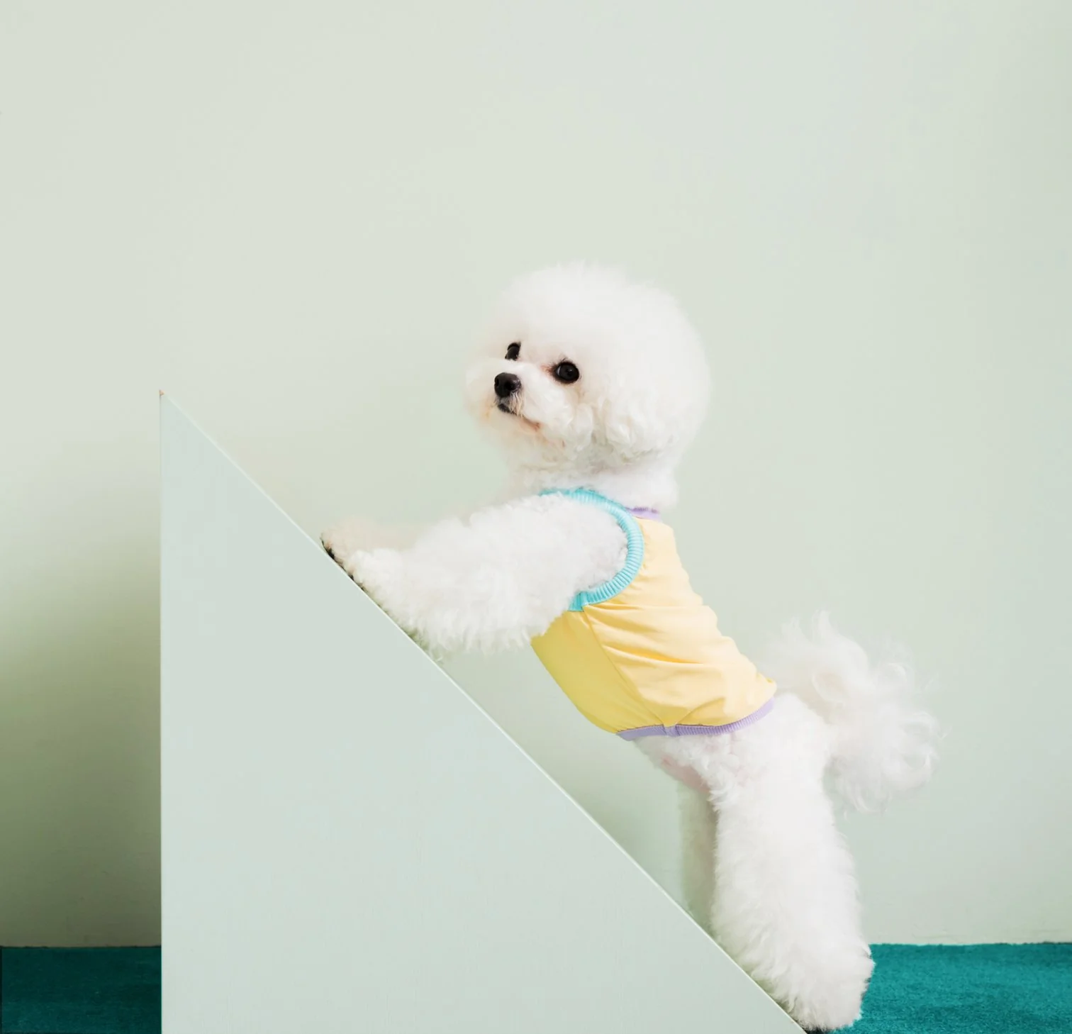 Cooling Dog Tank in Aqua << FINAL SALE >> - Image 3