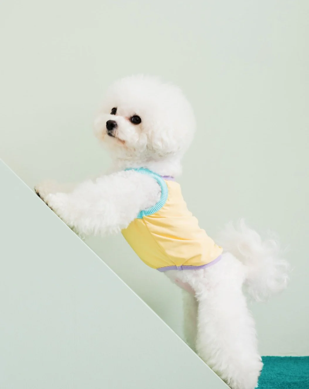 Cooling Dog Tank in Yellow (FINAL SALE) - Image 2