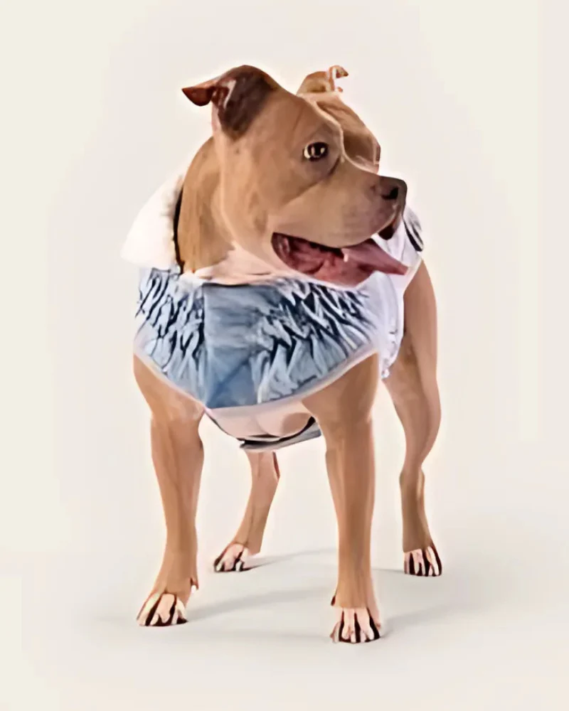 Northside Sherpa-Lined Denim Dog Jacket - Image 7