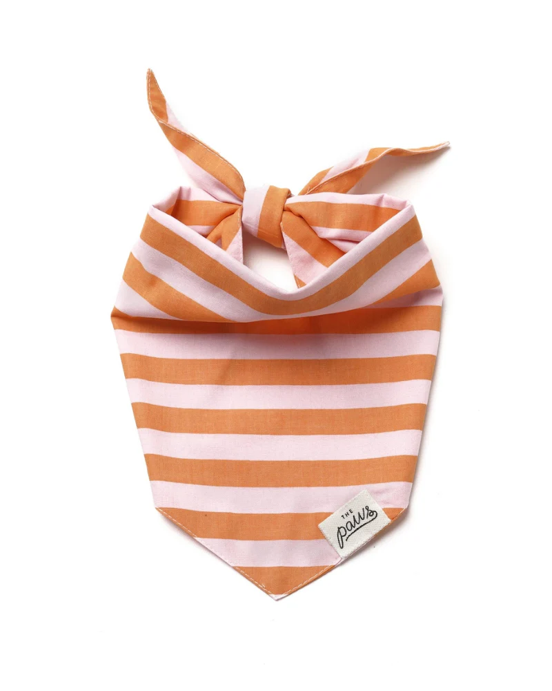 Nusa Striped Dog Bandana (FINAL SALE) - Image 4