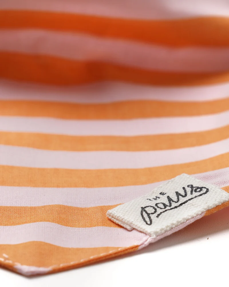Nusa Striped Dog Bandana (FINAL SALE) - Image 5