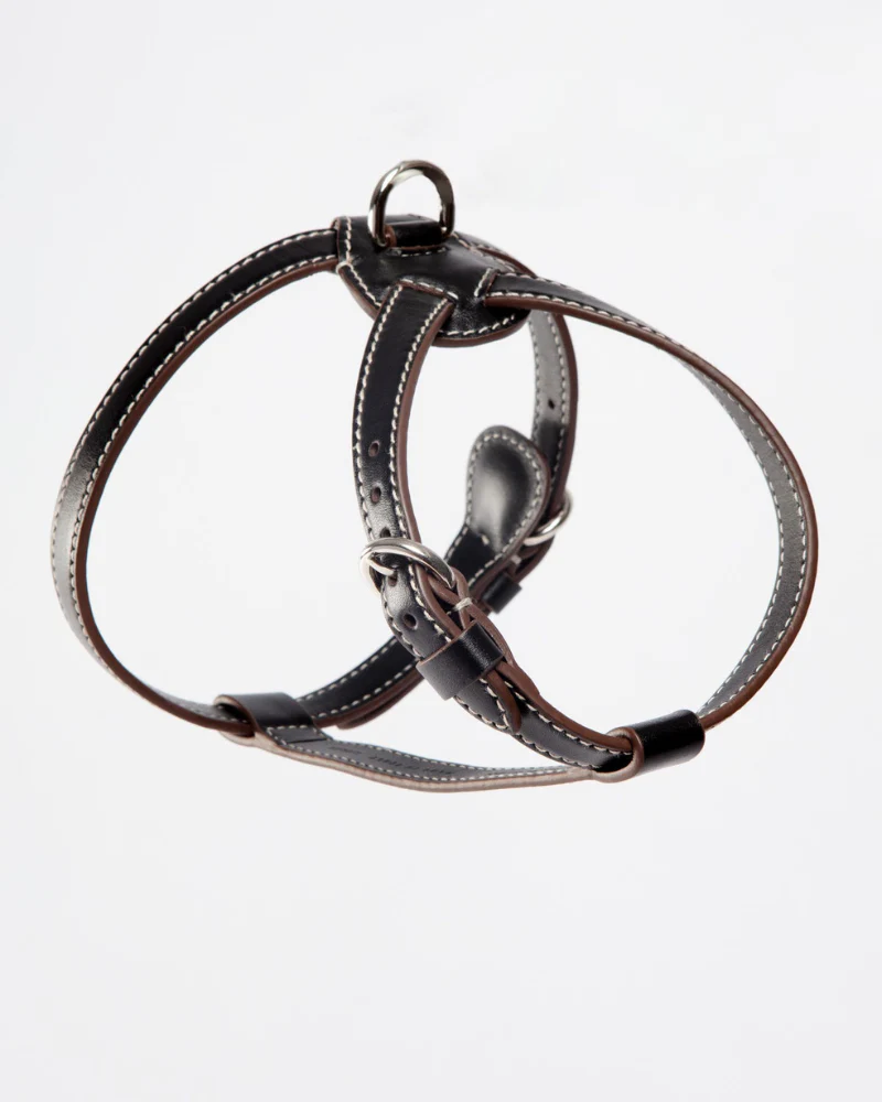 Nuvola Leather Dog Harness in Black (Made in Italy) - Image 3