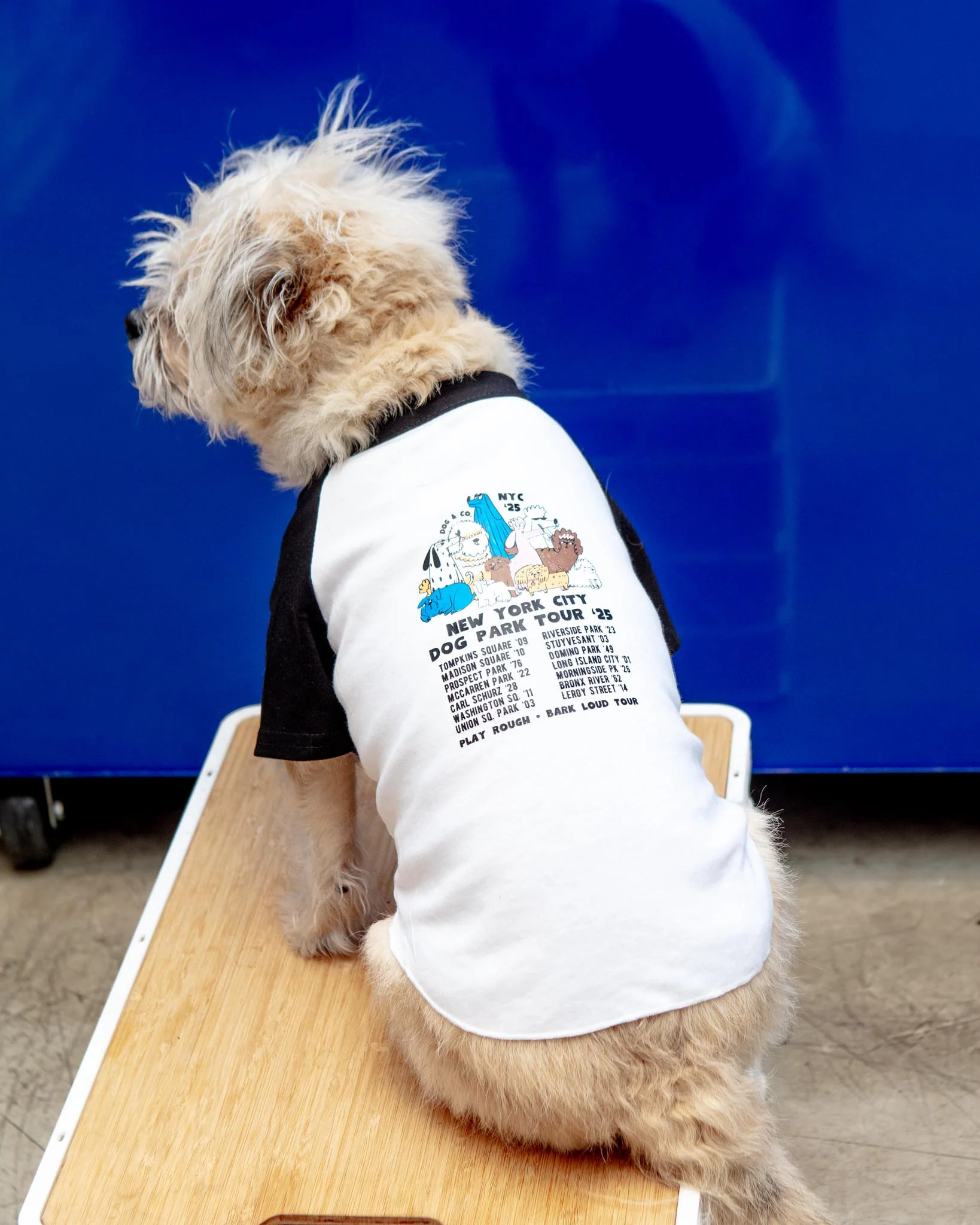 *NYC Dog Park Tour* Graphic Dog T-Shirt (FINAL SALE) - Image 4