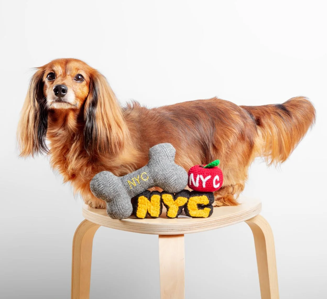 "NYC" Tweed Squeaker Bone Dog Toy (Made in the USA) - Image 3