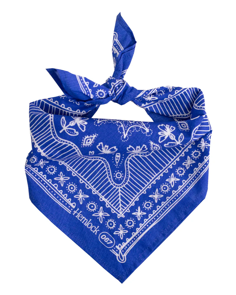 Nyla Bandana for Human & Dog (22"x22") - Image 2