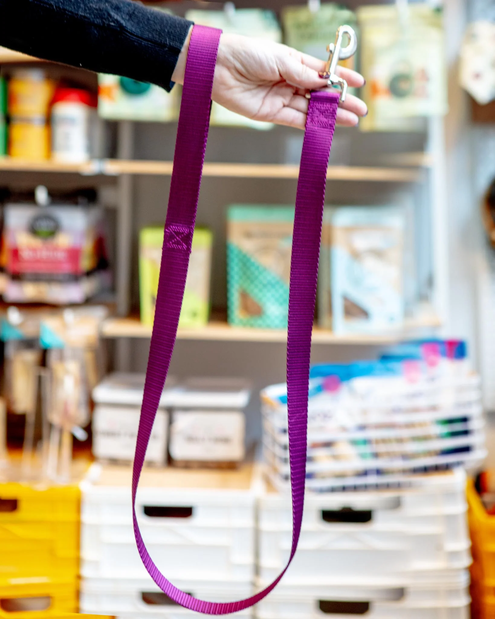 Nylon Dog Leash in Burgundy (4ft) (Made in the USA) - Image 2
