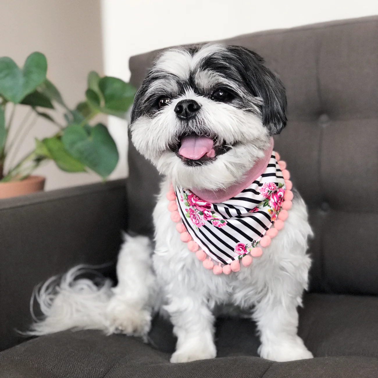 OH HONEY BEAR | Charlotte Pom Pom Bandana - Image 3