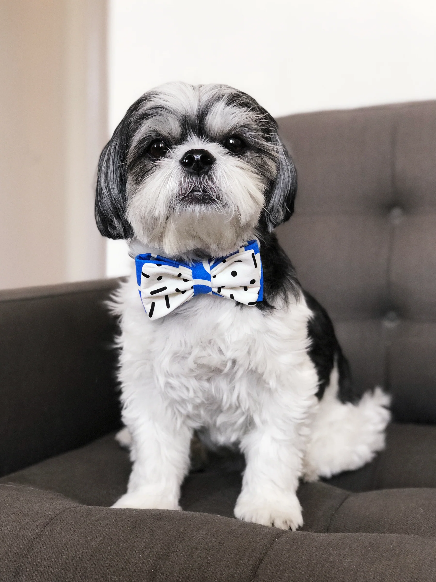 OH HONEY BEAR | Jeffrey Bow Tie - Image 2