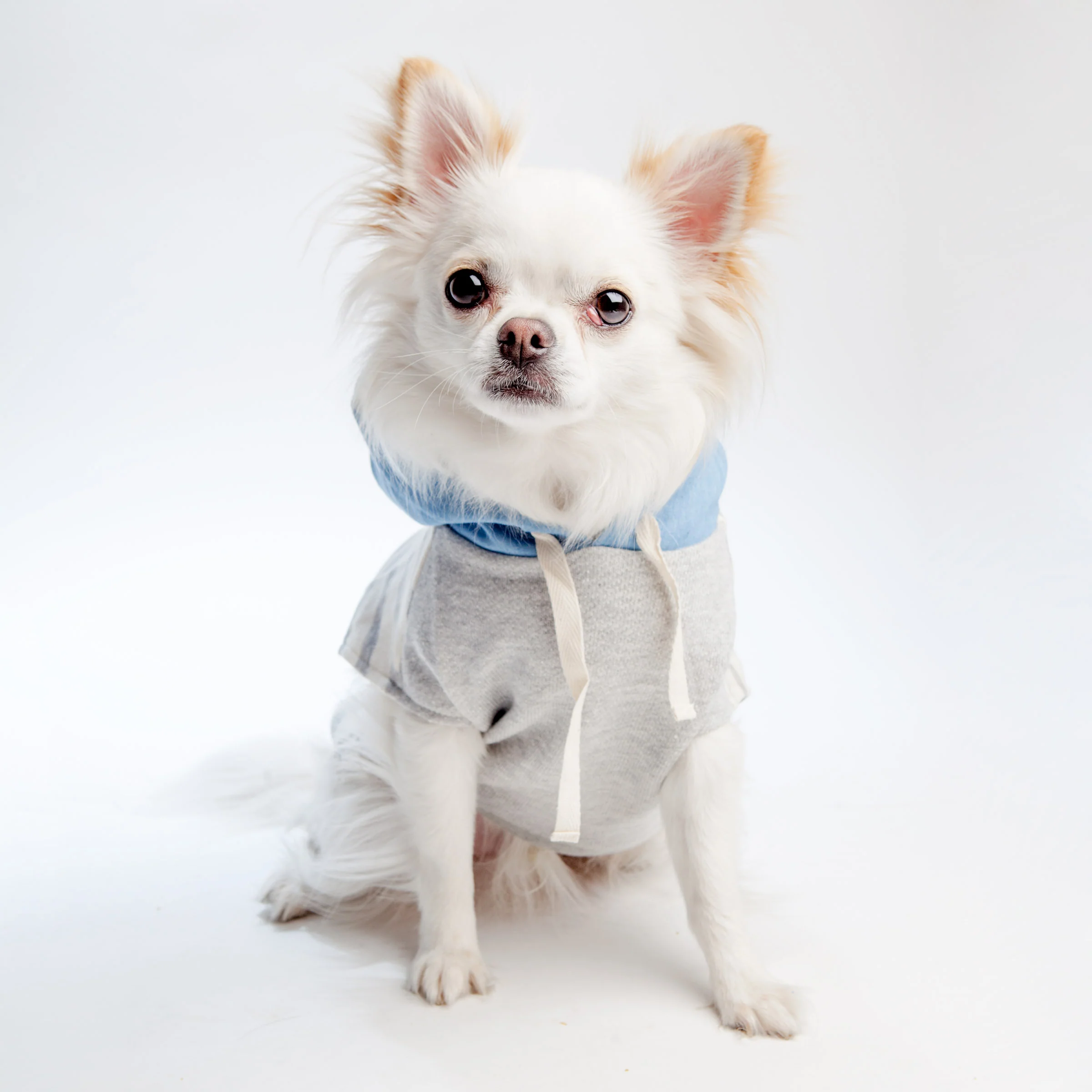 OH POP DOG | Grey Stripe Hoodie