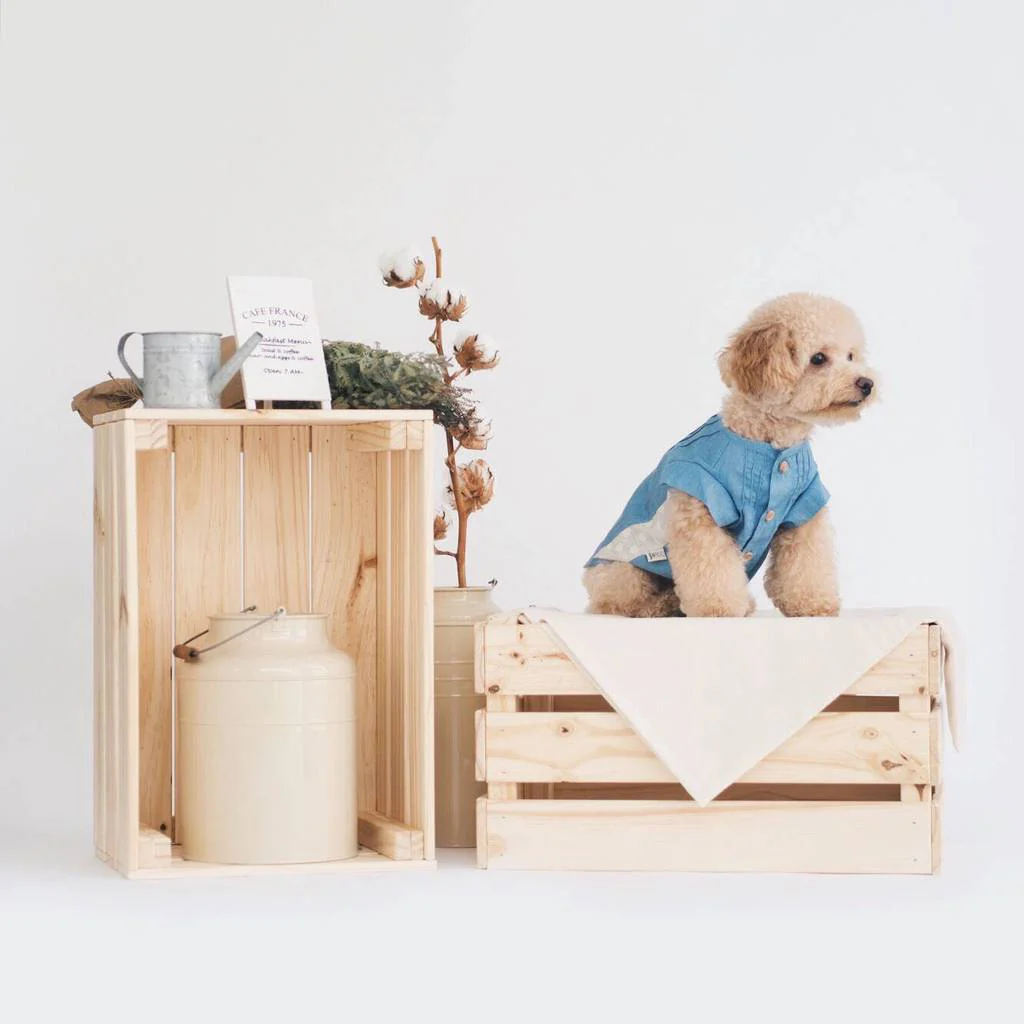 OH POP DOG | Pintuck Denim Shirt - Image 3