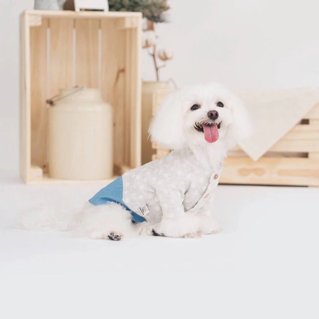 OH POP DOG | Polka Dot Denim Shirt - Image 6