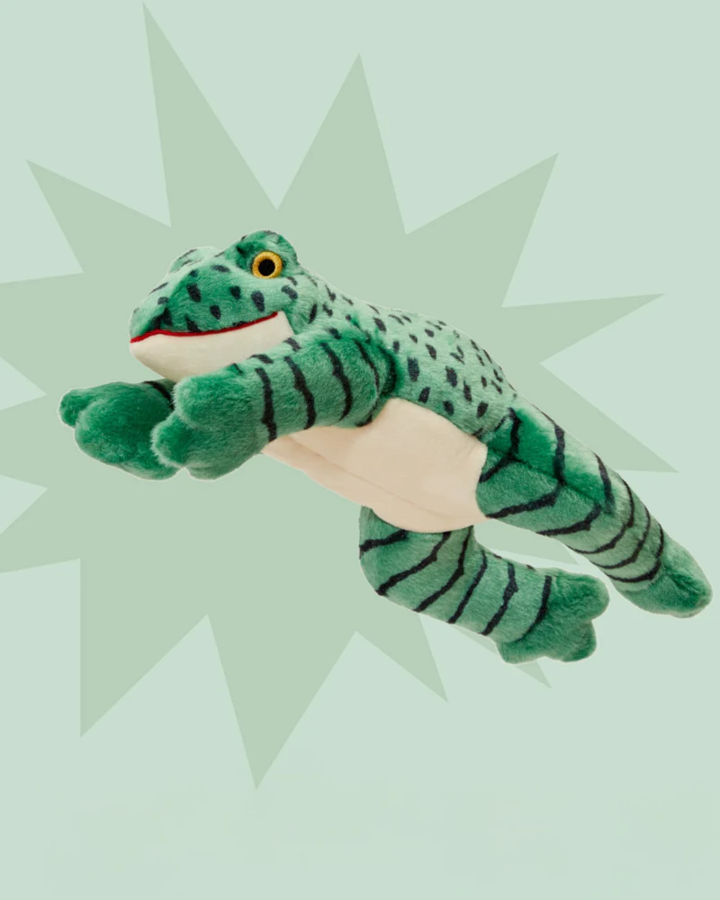 Oliver the Frog Plush Squeaky Dog Toy - Image 3