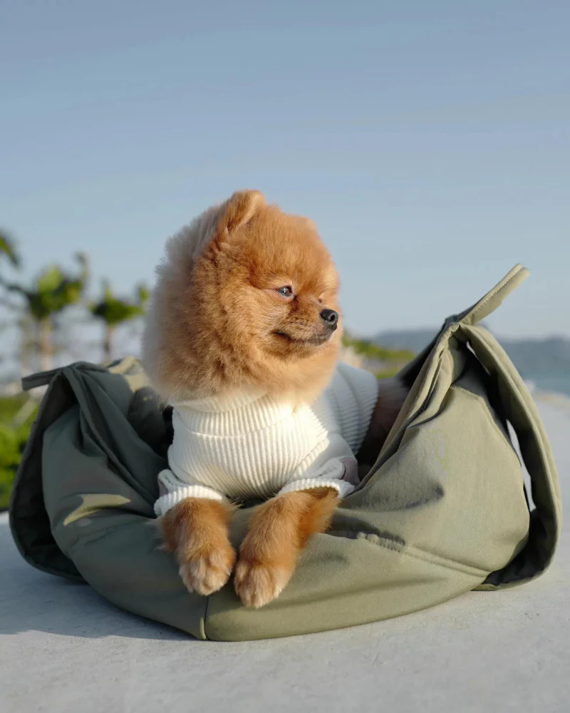 Olla Petite Pet Crossbody Bag - Image 11
