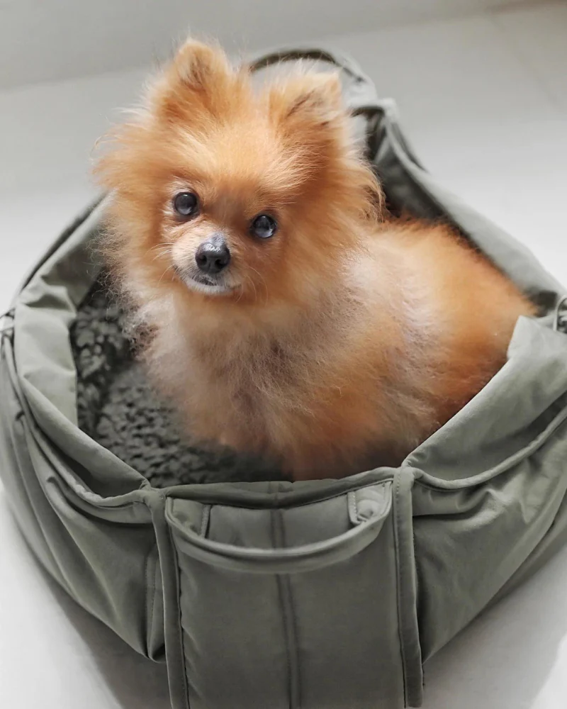 Olla Petite Pet Crossbody Bag - Image 2