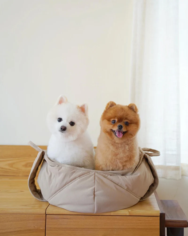 Olla Petite Pet Crossbody Bag - Image 7