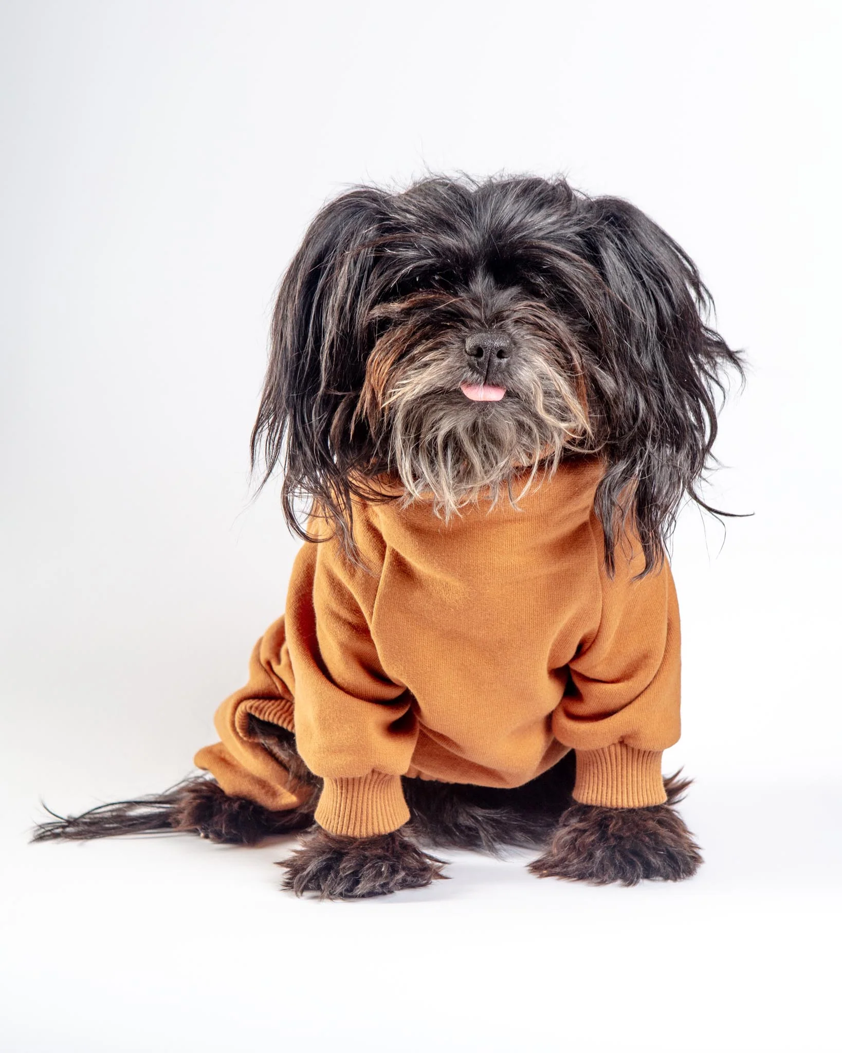 Sweatsuit Onesie for Dogs in Camel (FINAL SALE)