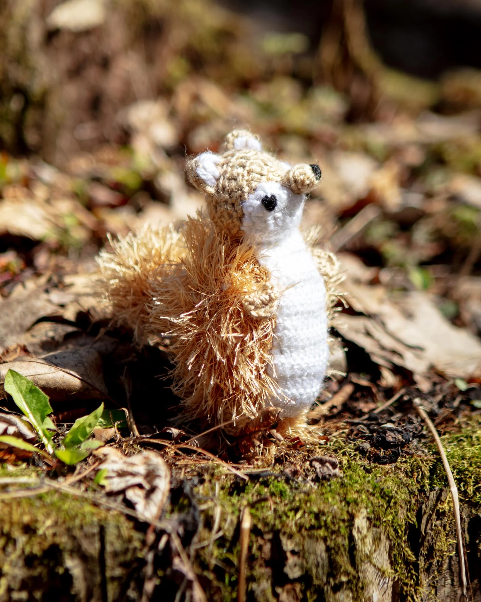 Fuzzy Squirrel Dog Toy