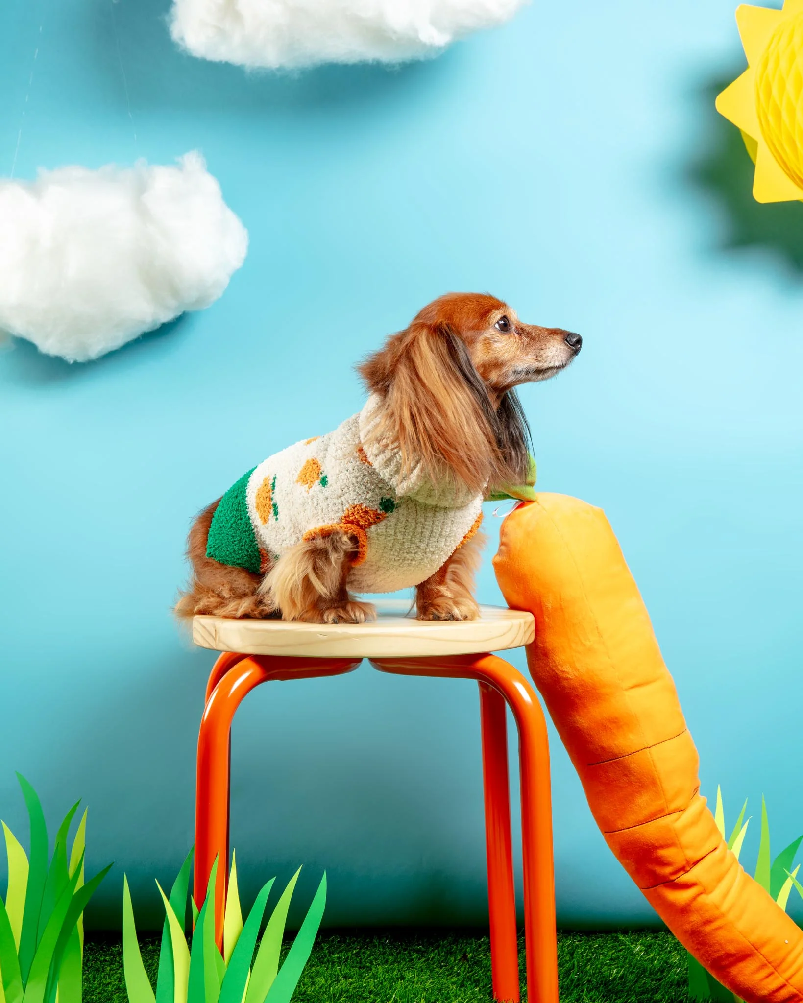 Orange Dog Sweater - Image 3