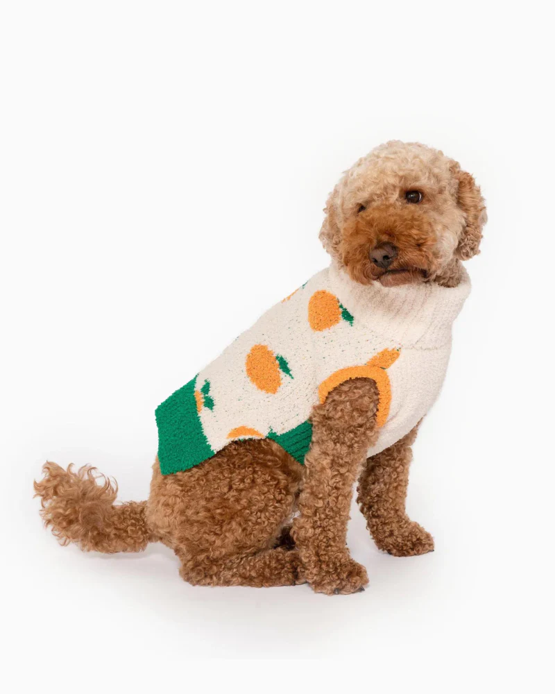 Orange Dog Sweater - Image 6