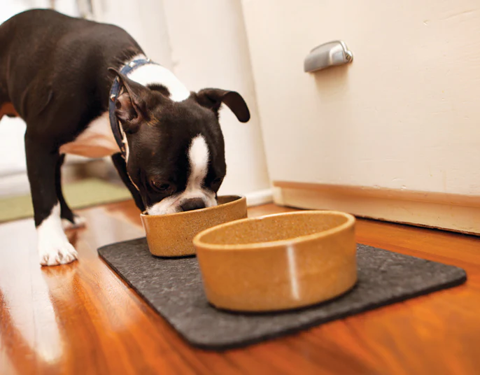 Skinny Rectangle Natural Recycled Rubber Pet Placemat in Black - Image 2