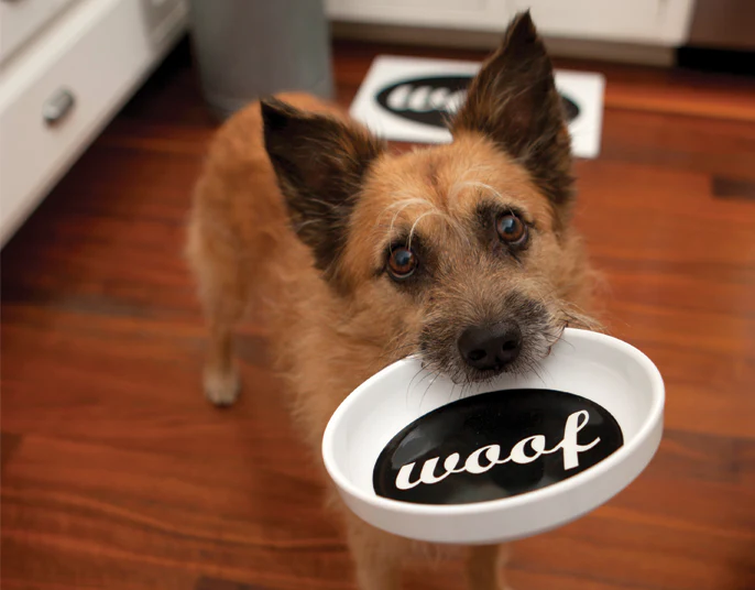 ORE PET | Woof Feeding Bowl - Image 2