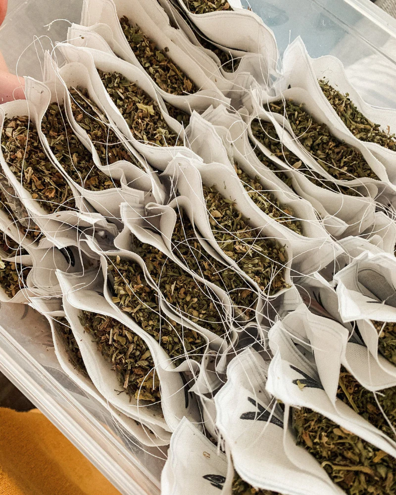 Organic Catnip Sardines Toy - Image 2