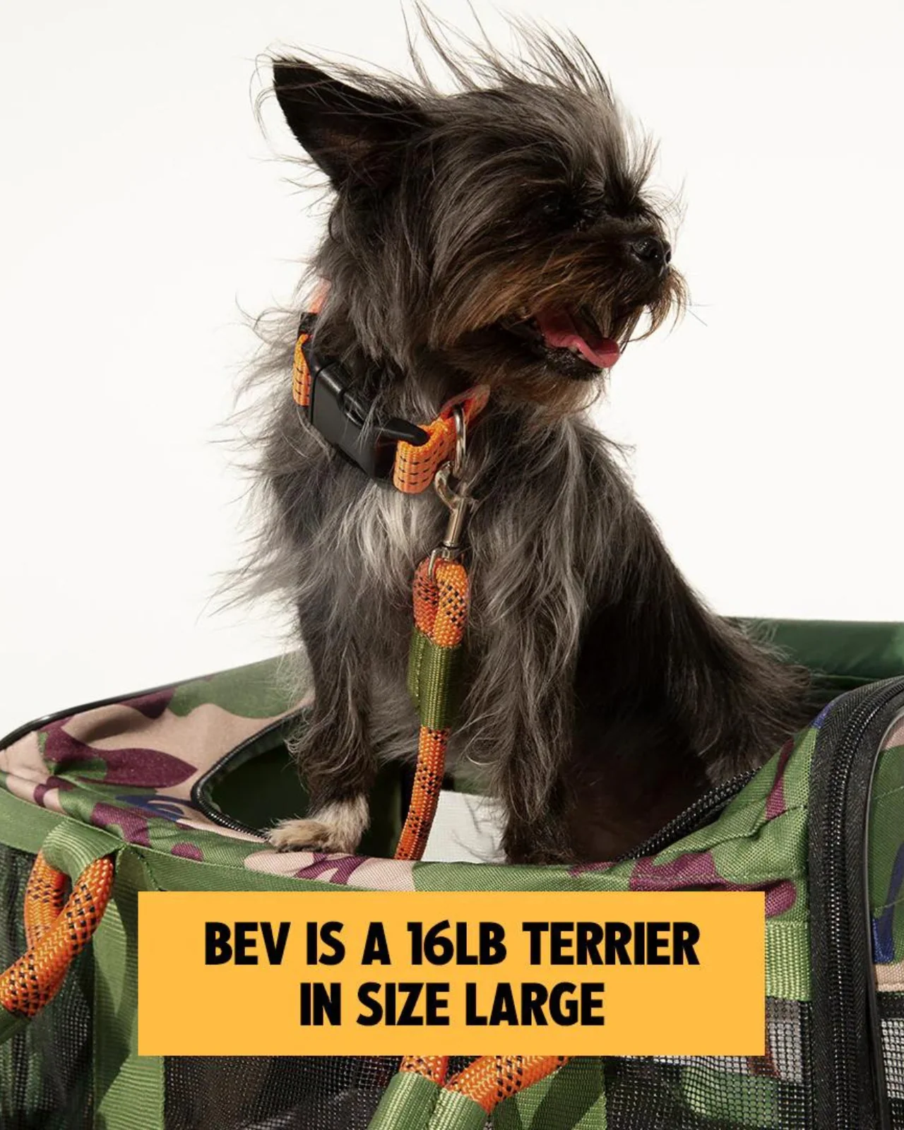 Out-Of-Office Airline Compliant Pet Carrier in Camo w/ Orange (Pro Edition) - Image 9