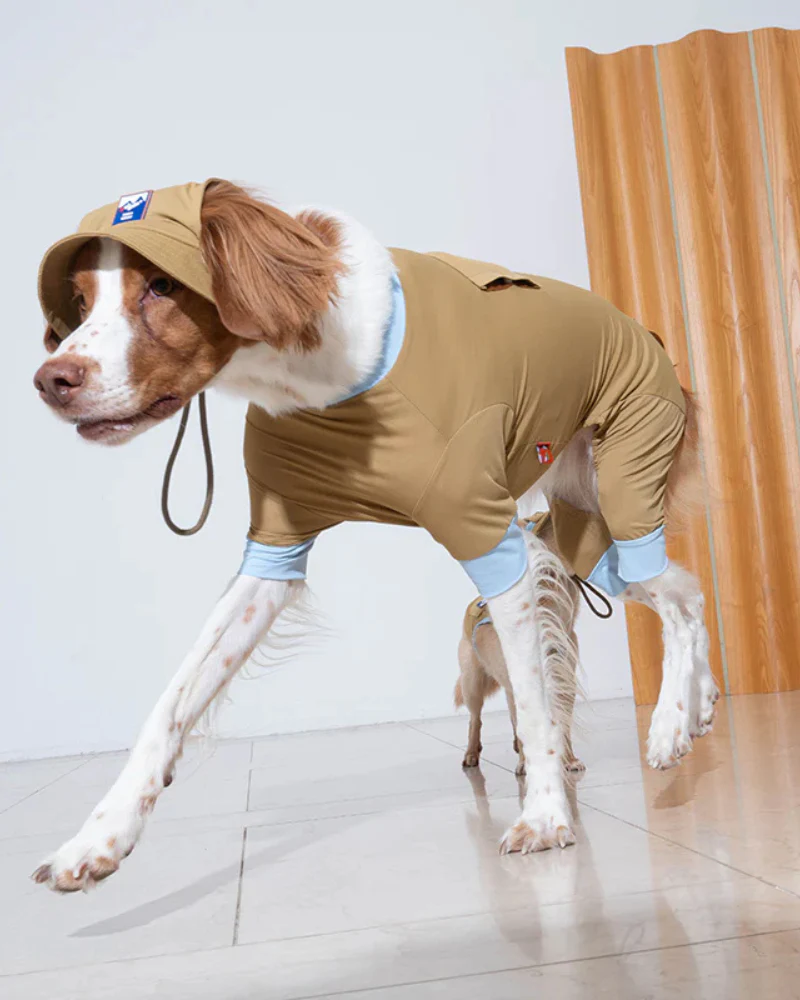 Outside+ Cooling Dog Jumpsuit - Image 4