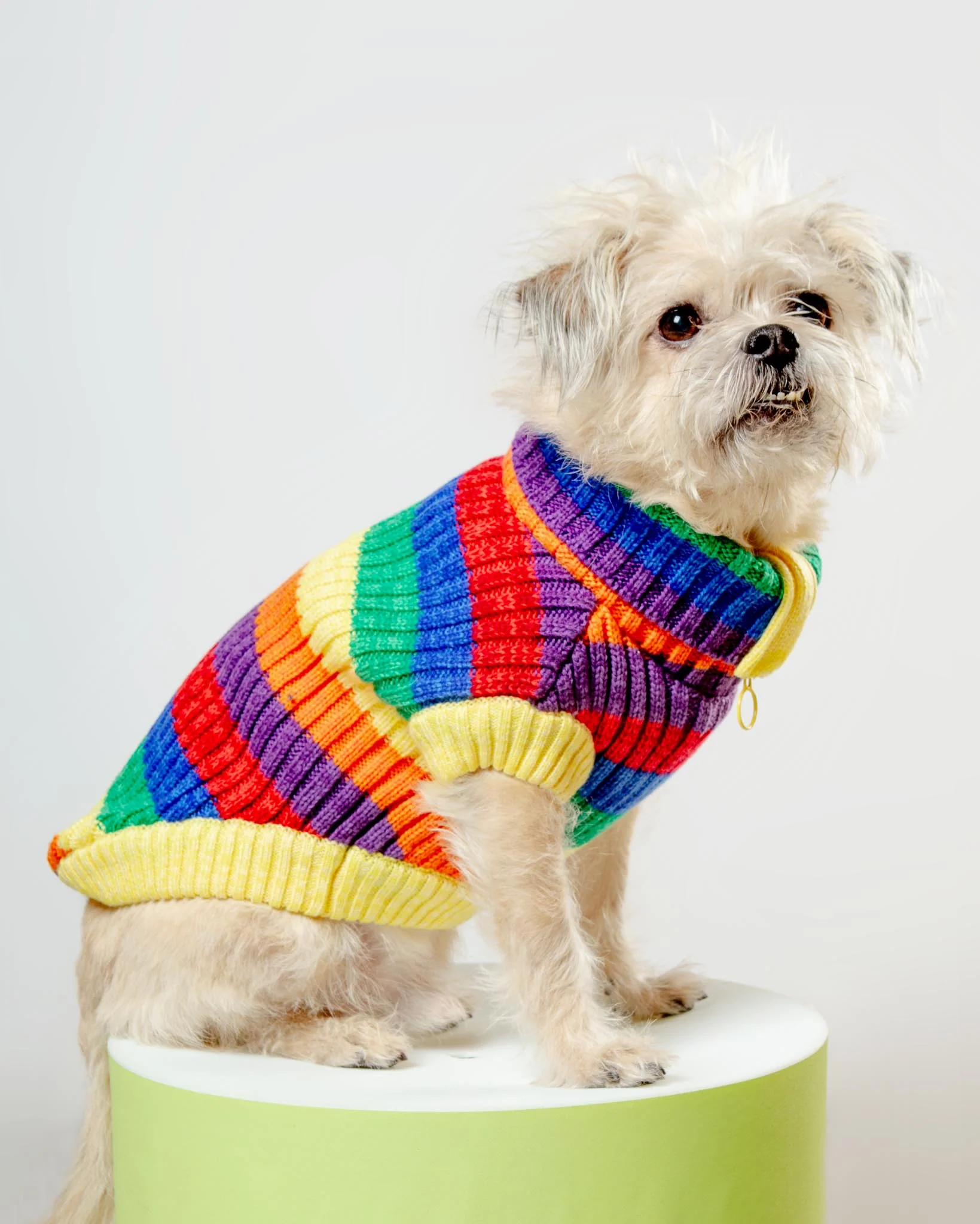 Over The Rainbow Dog Sweater (FINAL SALE) - Image 3