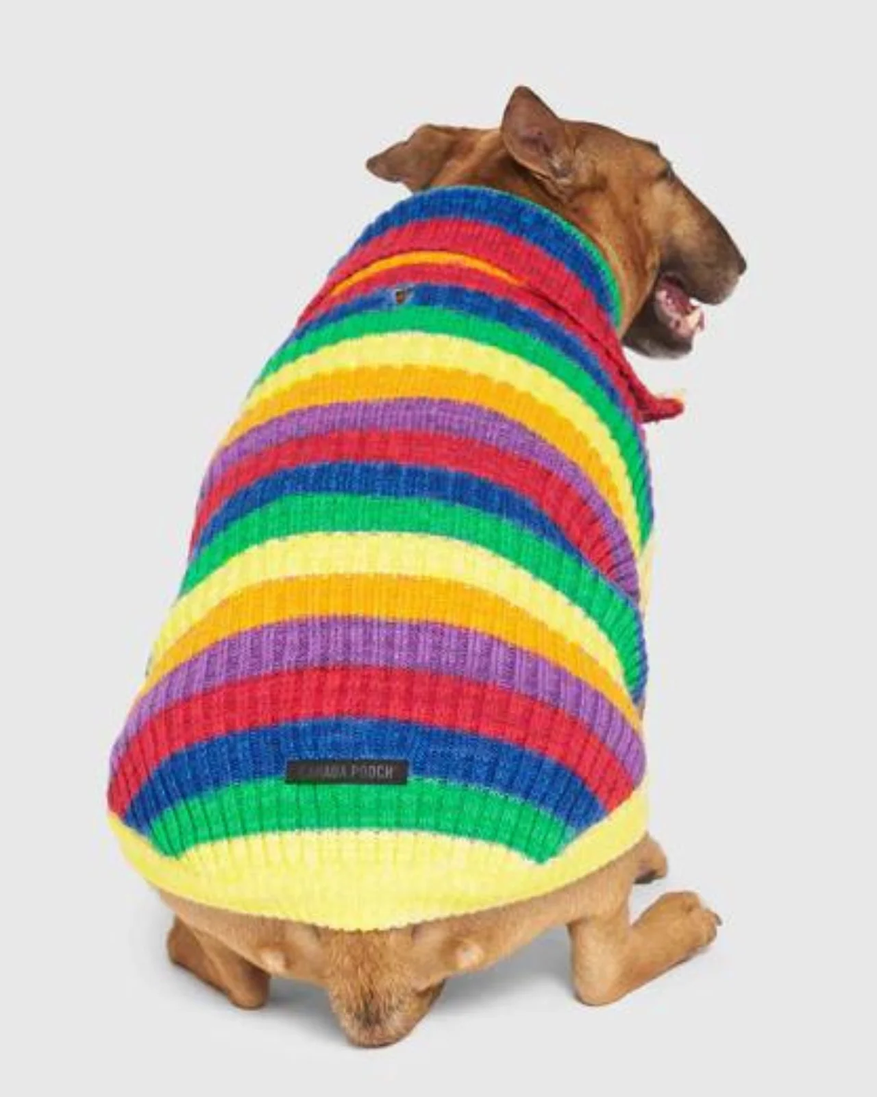Over The Rainbow Dog Sweater (FINAL SALE) - Image 8